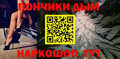 гидра Краснознаменск