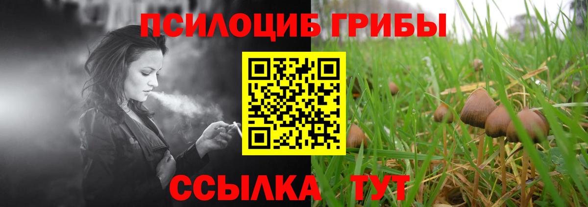 Галлюциногенные грибы мухоморы  Псилоцибиновые грибы Cubensis  Вход с VPN  Ижевск 